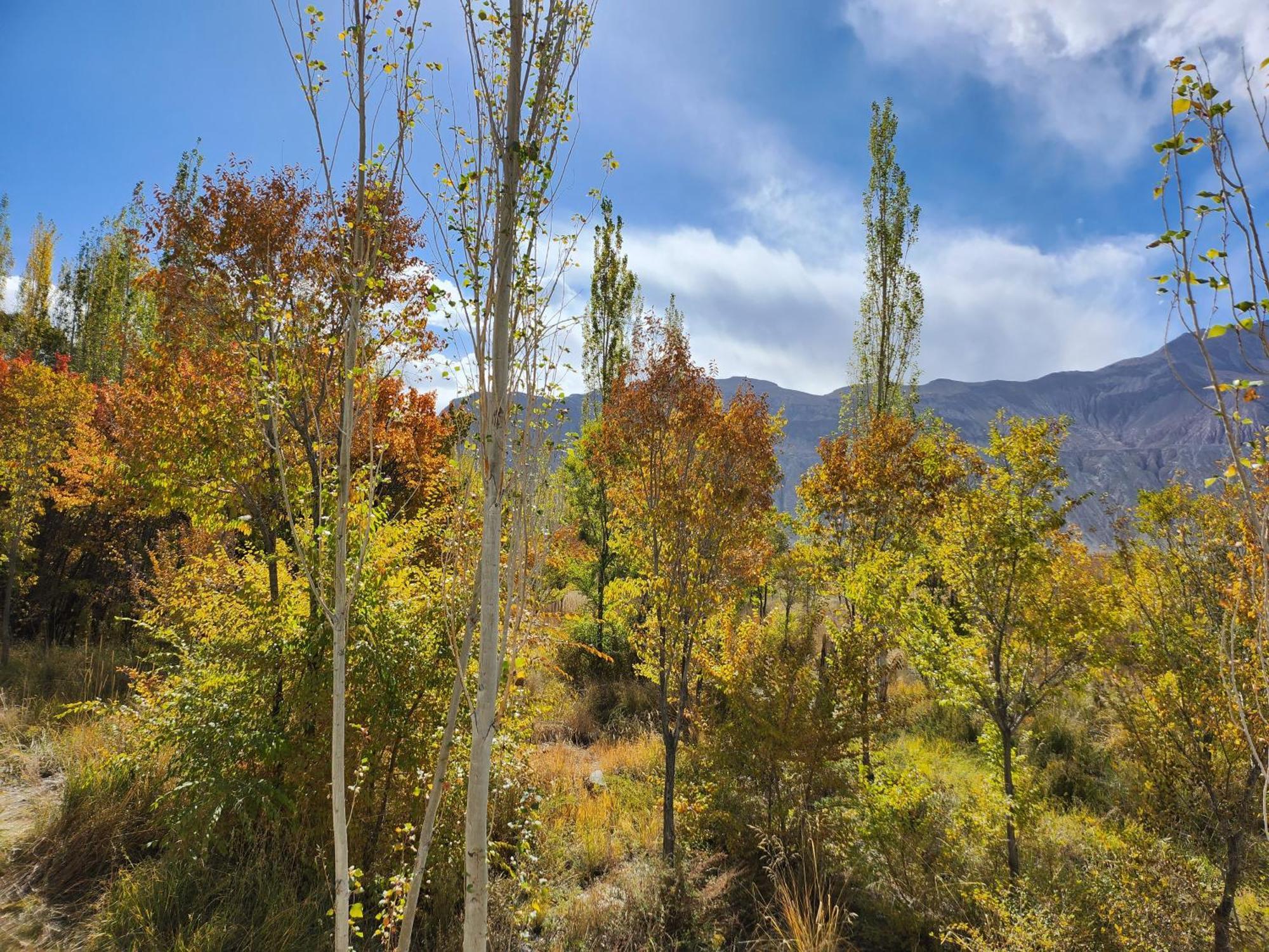 Lharimo Hotel Leh - Ladakh Exteriér fotografie