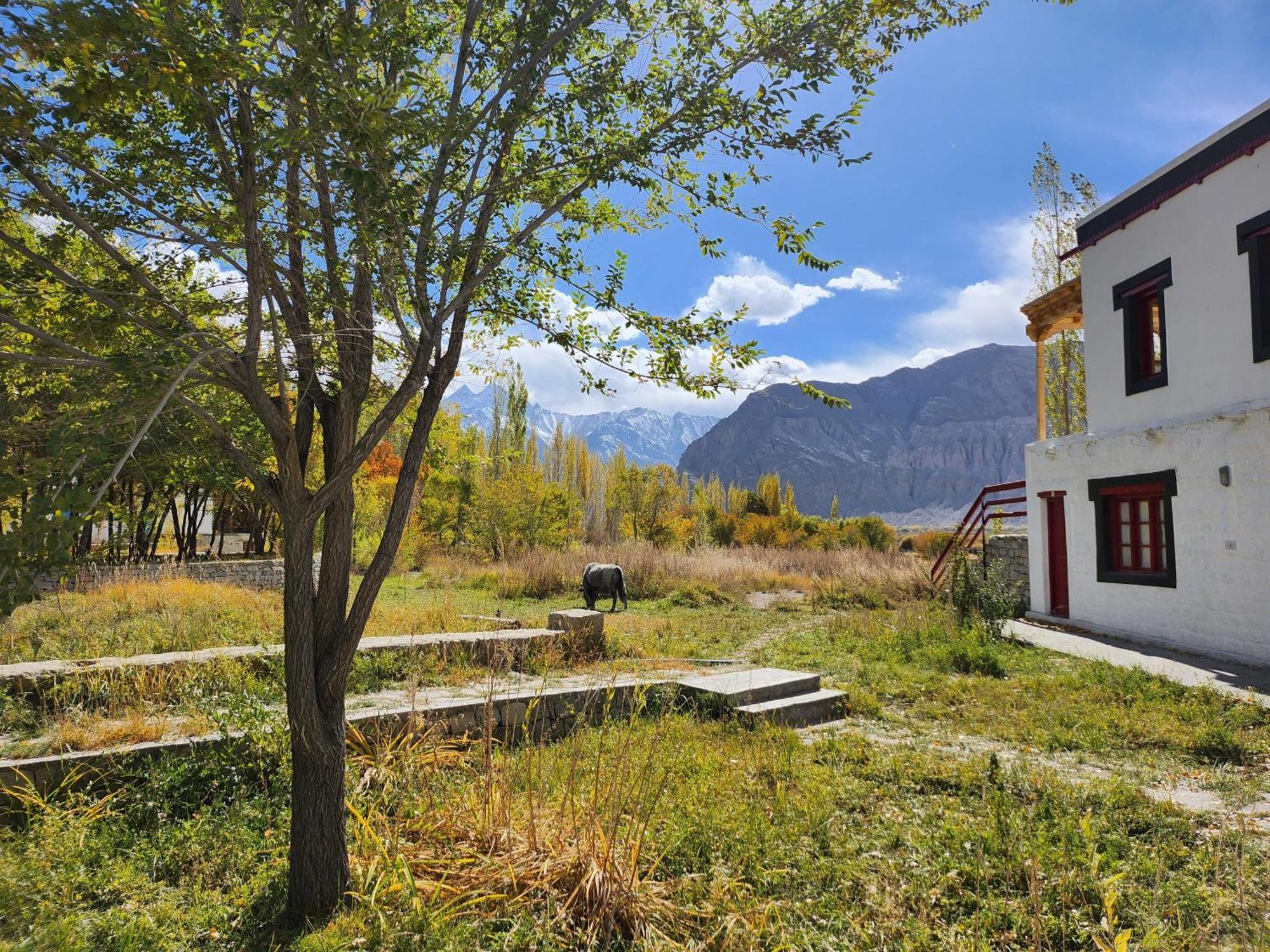 Lharimo Hotel Leh - Ladakh Exteriér fotografie