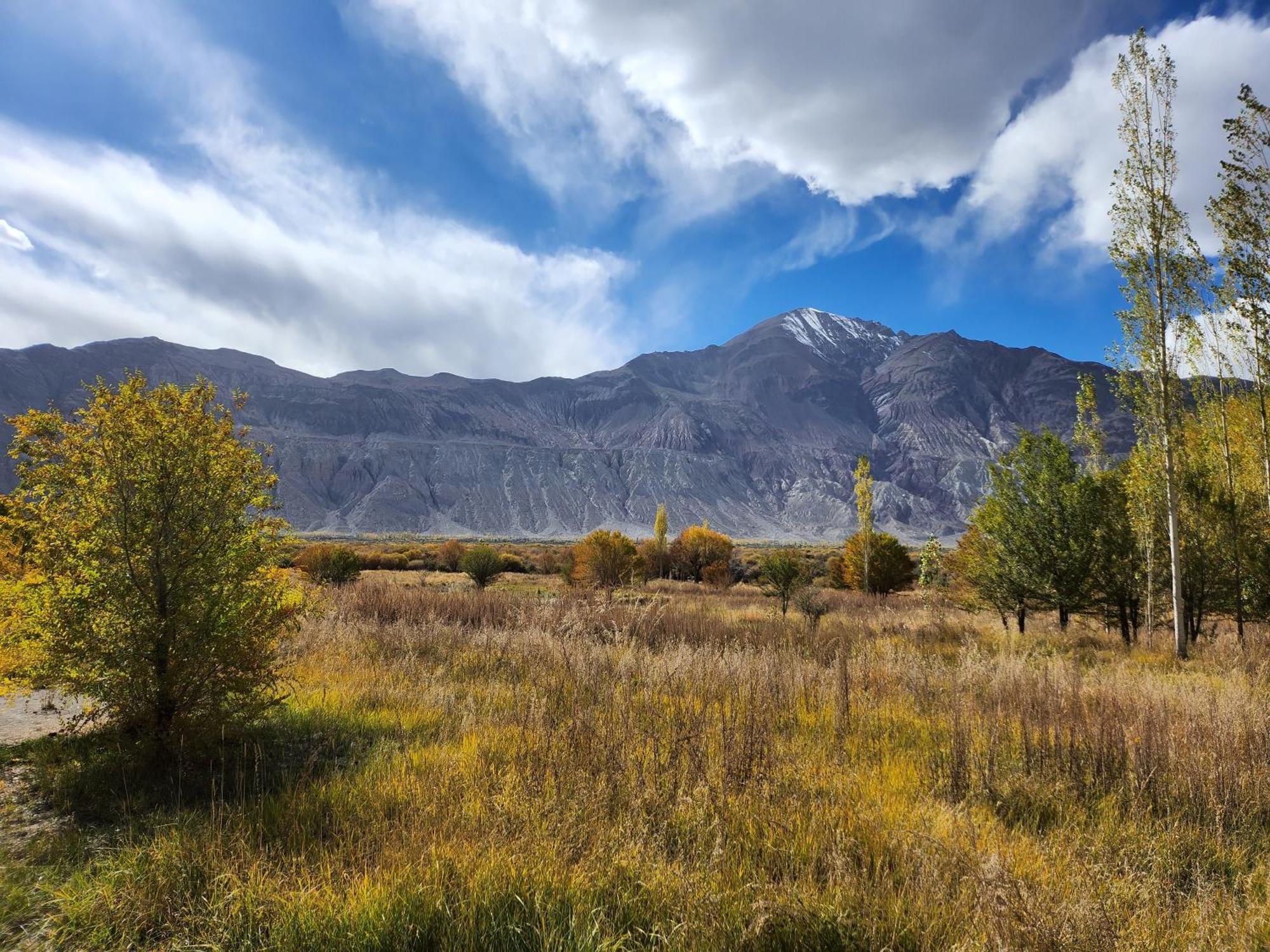 Lharimo Hotel Leh - Ladakh Exteriér fotografie