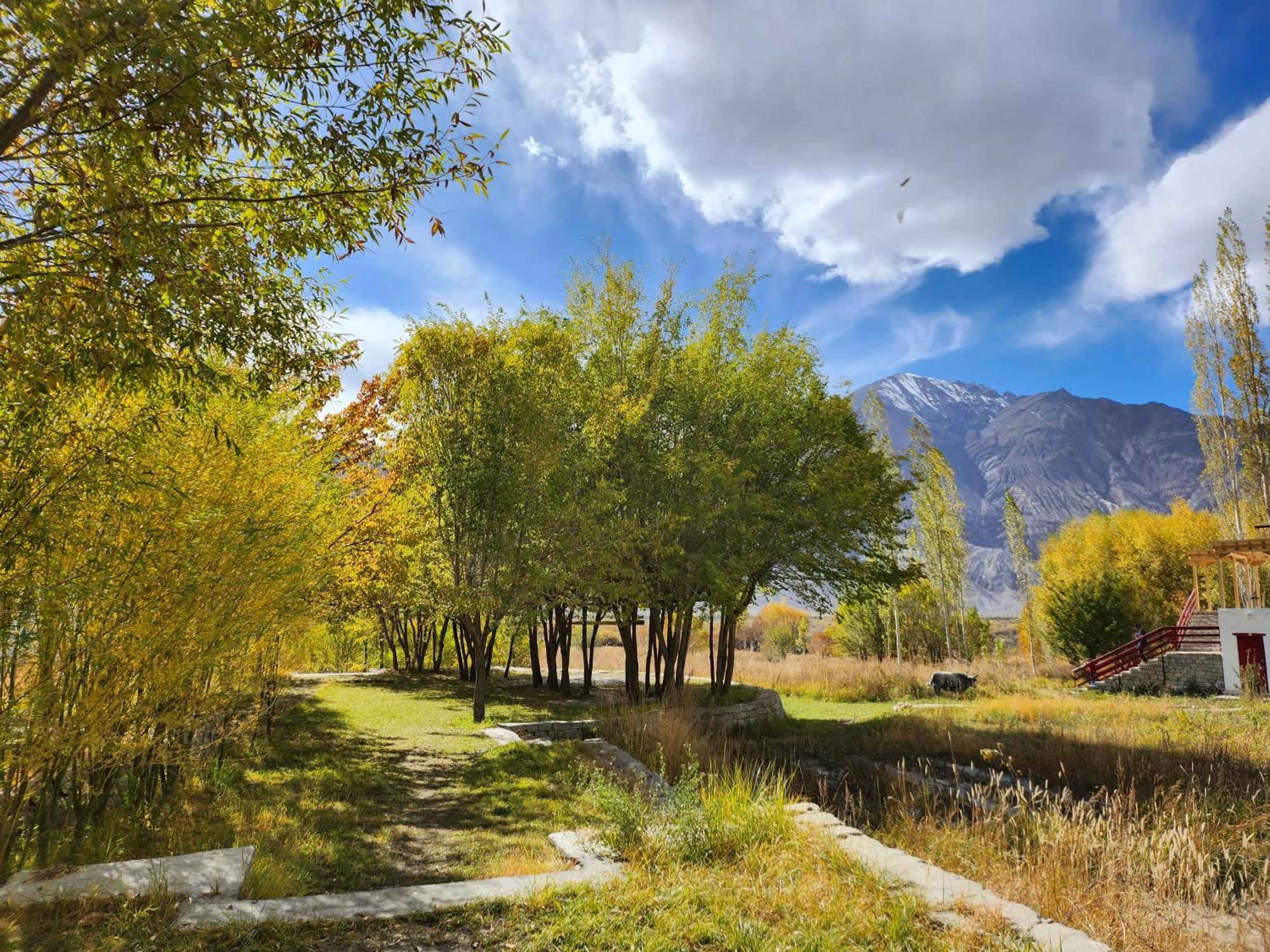 Lharimo Hotel Leh - Ladakh Exteriér fotografie