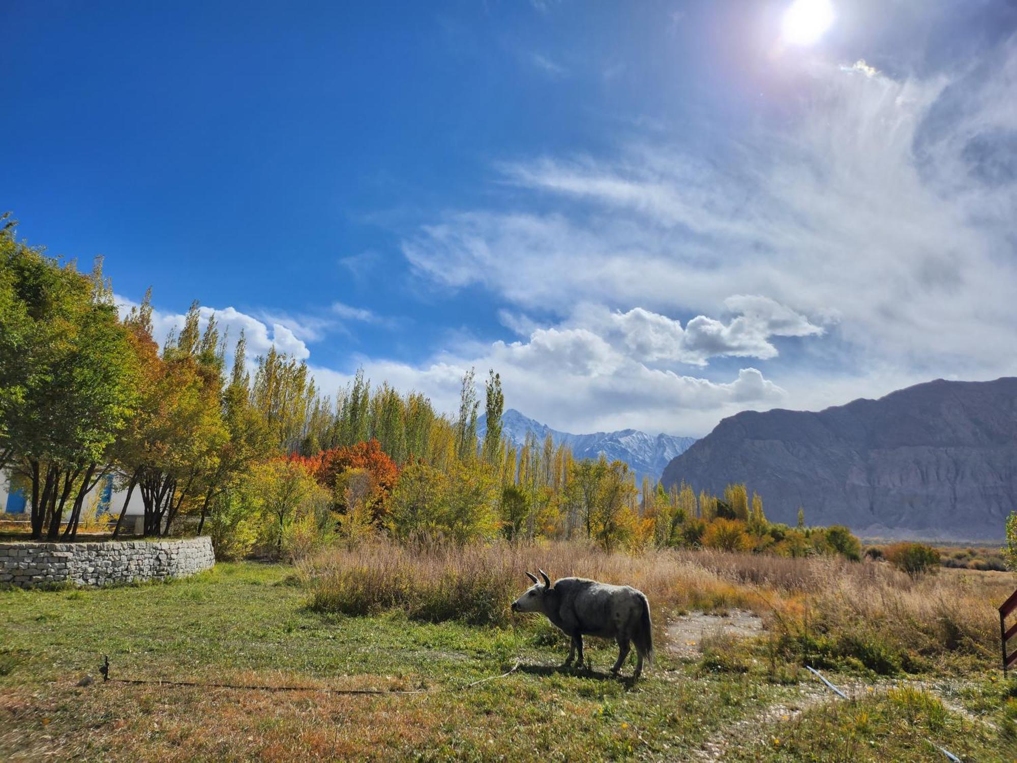 Lharimo Hotel Leh - Ladakh Exteriér fotografie