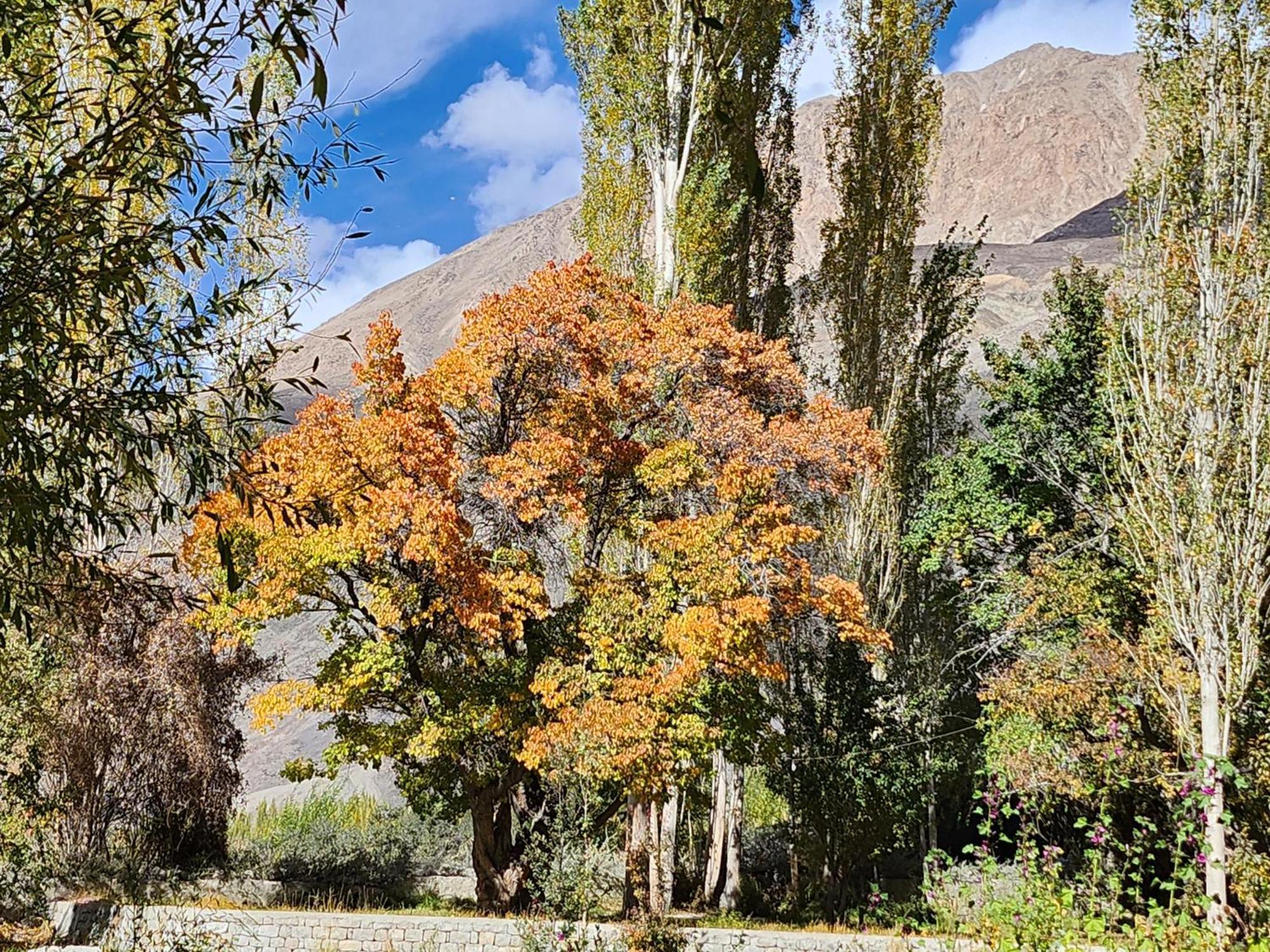 Lharimo Hotel Leh - Ladakh Exteriér fotografie