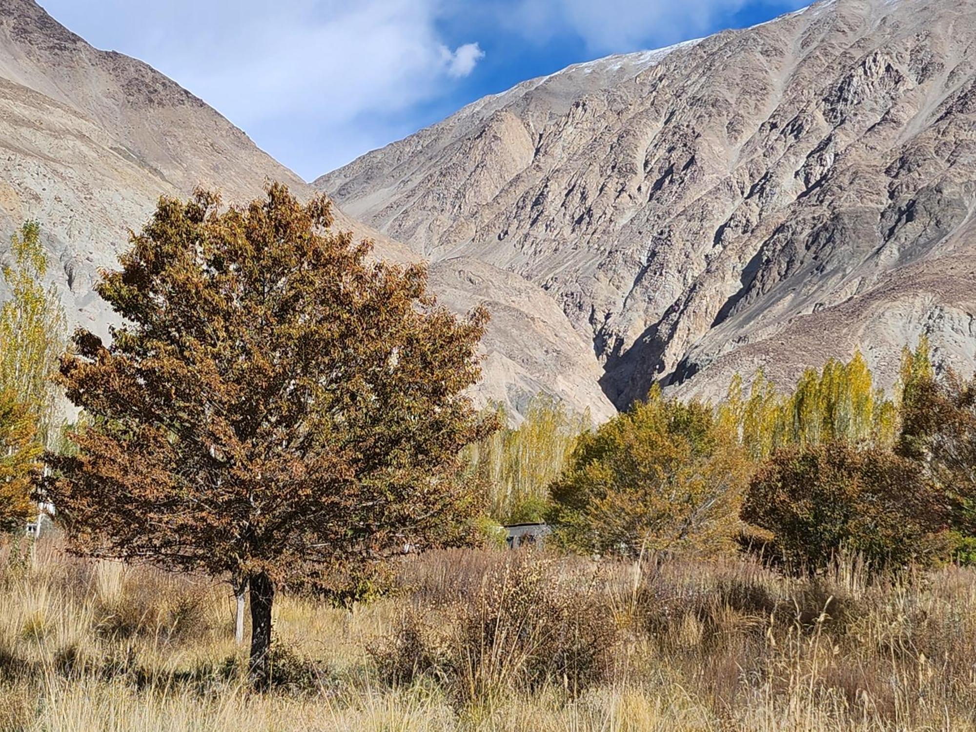 Lharimo Hotel Leh - Ladakh Exteriér fotografie